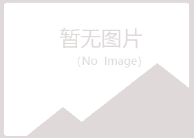 天水盼夏采矿有限公司